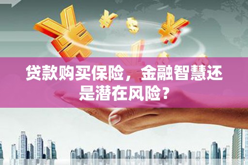 长城贷款购买保险，金融智慧还是潜在风险？