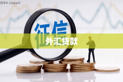 阳曲外汇贷款