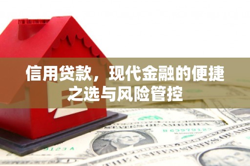 疏附信用贷款，现代金融的便捷之选与风险管控
