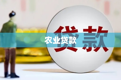 洮北农业贷款