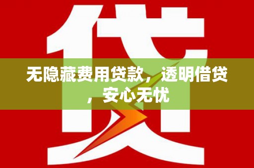 囊谦无隐藏费用贷款，透明借贷，安心无忧