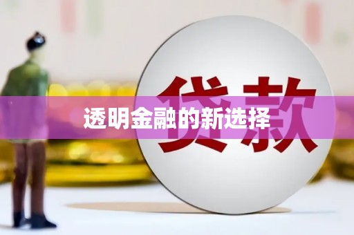 蒸湘透明金融的新选择