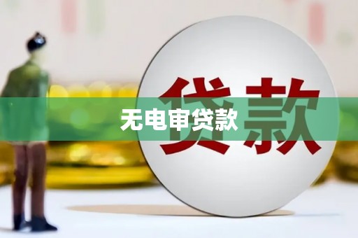 永州无电审贷款