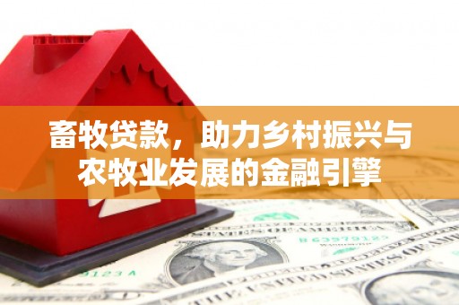 徐水畜牧贷款，助力乡村振兴与农牧业发展的金融引擎