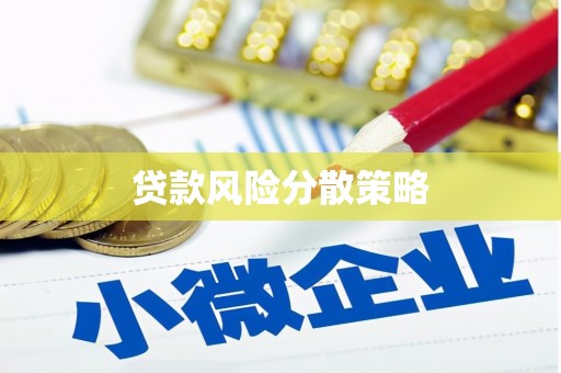 礼县贷款风险分散策略