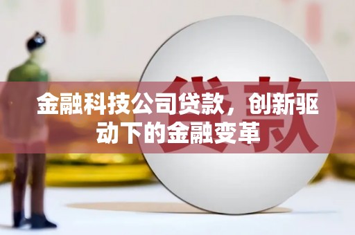 临潭金融科技公司贷款，创新驱动下的金融变革