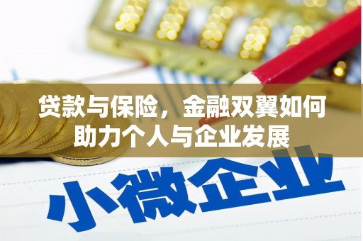 汉源贷款与保险，金融双翼如何助力个人与企业发展