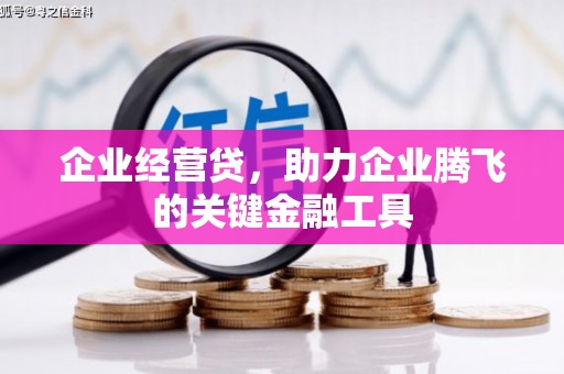 兴山企业经营贷，助力企业腾飞的关键金融工具