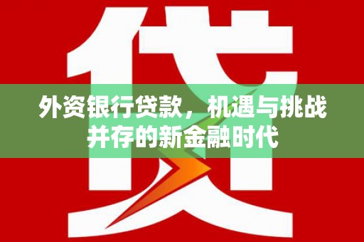 青白江外资银行贷款，机遇与挑战并存的新金融时代