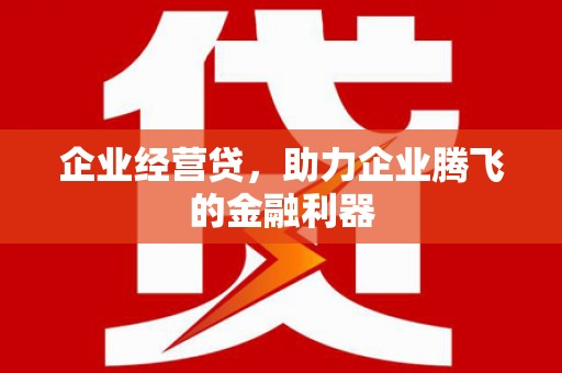 萨嘎企业经营贷，助力企业腾飞的金融利器