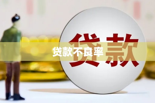 南县贷款不良率