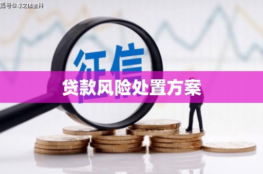 长城贷款风险处置方案