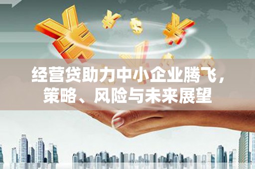 山海关经营贷助力中小企业腾飞，策略、风险与未来展望