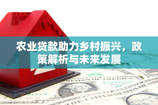 洪江农业贷款助力乡村振兴，政策解析与未来发展