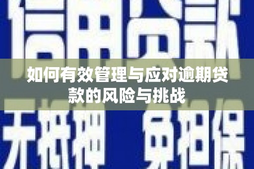士林如何有效管理与应对逾期贷款的风险与挑战