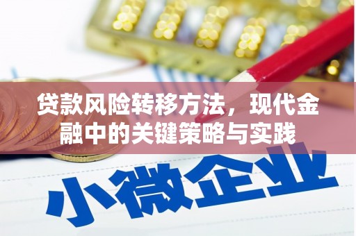 嘉黎贷款风险转移方法，现代金融中的关键策略与实践