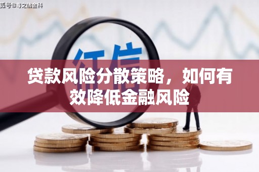 广南贷款风险分散策略，如何有效降低金融风险