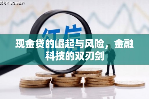 田林现金贷的崛起与风险，金融科技的双刃剑