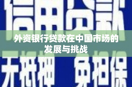 稻城外资银行贷款在中国市场的发展与挑战