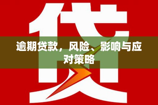 夏邑逾期贷款，风险、影响与应对策略