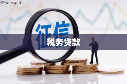 隆阳税务贷款