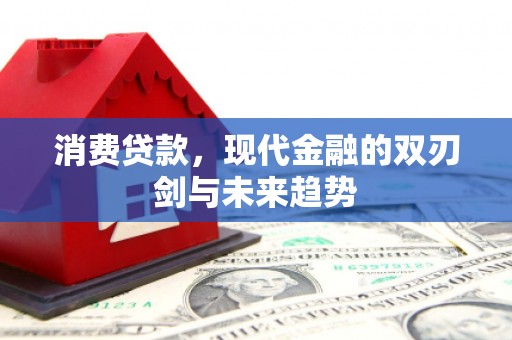 洋县消费贷款，现代金融的双刃剑与未来趋势
