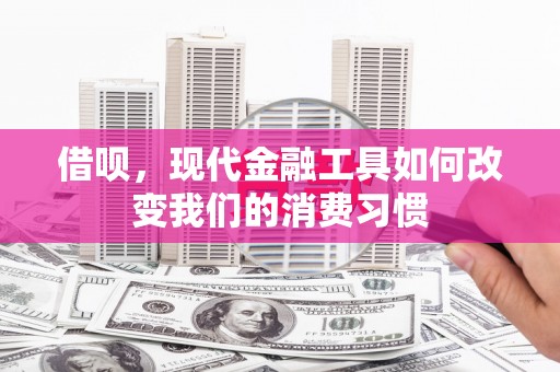 奎文借呗，现代金融工具如何改变我们的消费习惯