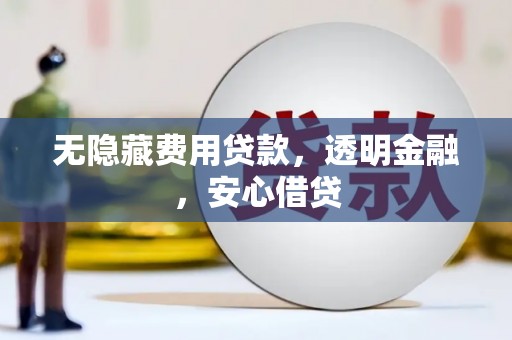 德保无隐藏费用贷款，透明金融，安心借贷
