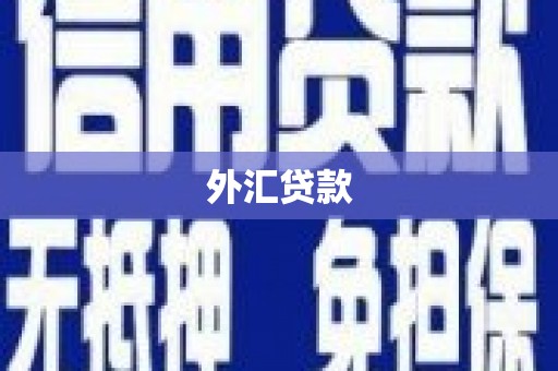 天水外汇贷款