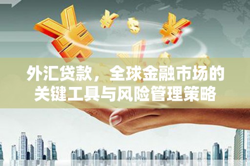 永年外汇贷款，全球金融市场的关键工具与风险管理策略