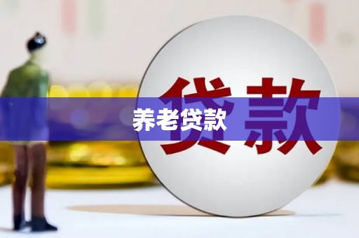 岱岳养老贷款