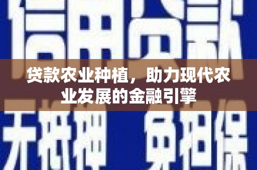 永善贷款农业种植，助力现代农业发展的金融引擎