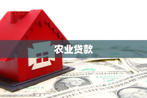 浑源农业贷款