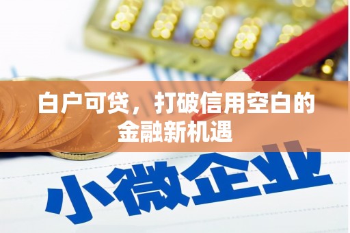 临潭白户可贷，打破信用空白的金融新机遇
