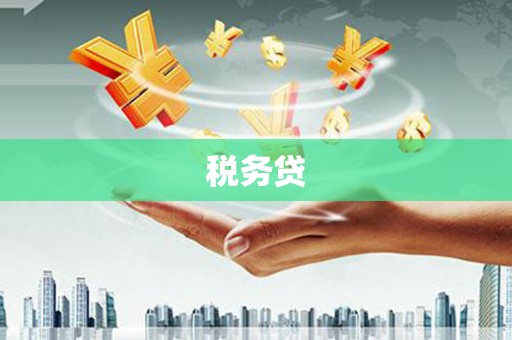 闻喜税务贷