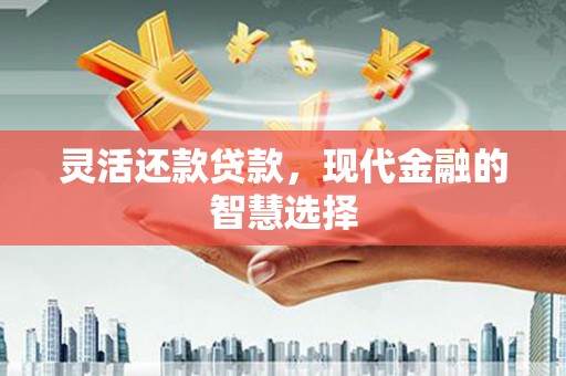 邵东灵活还款贷款，现代金融的智慧选择