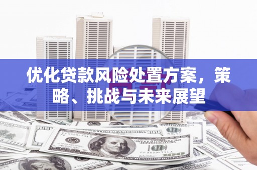 水城优化贷款风险处置方案，策略、挑战与未来展望