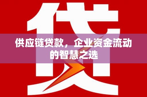 平潭供应链贷款，企业资金流动的智慧之选