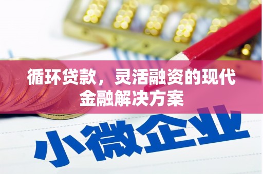 巴里坤循环贷款，灵活融资的现代金融解决方案