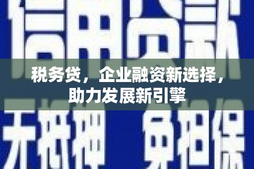 张掖税务贷，企业融资新选择，助力发展新引擎