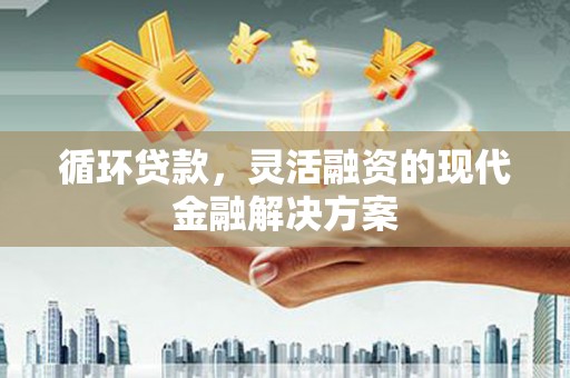 沙坡头循环贷款，灵活融资的现代金融解决方案