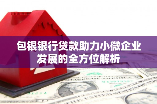 芦洲包银银行贷款助力小微企业发展的全方位解析