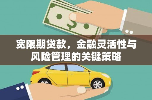振安宽限期贷款，金融灵活性与风险管理的关键策略