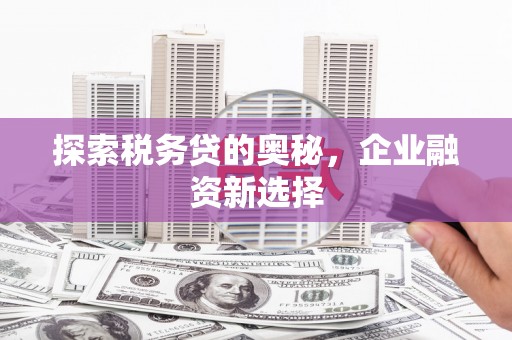 达拉特旗探索税务贷的奥秘，企业融资新选择