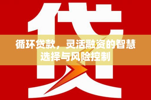 安国循环贷款，灵活融资的智慧选择与风险控制