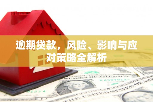 兴国逾期贷款，风险、影响与应对策略全解析