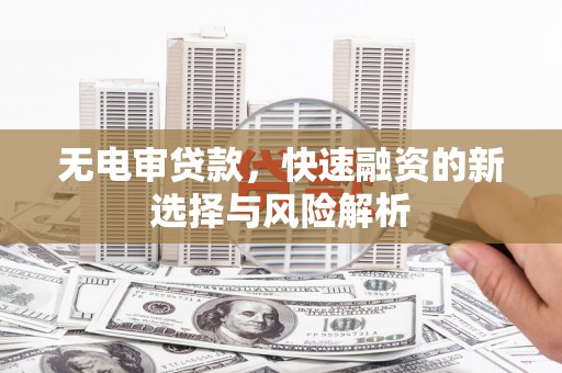 秀林无电审贷款，快速融资的新选择与风险解析