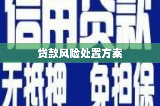 温岭贷款风险处置方案