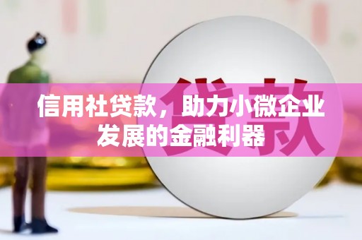 仑背信用社贷款，助力小微企业发展的金融利器