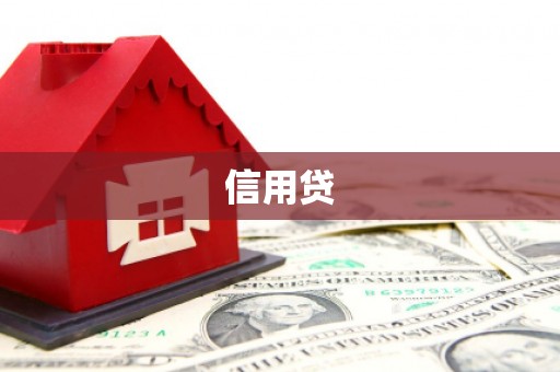 五指山信用贷